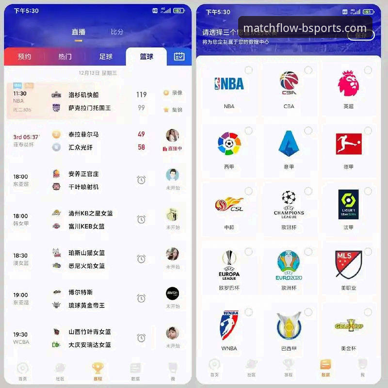 B体育官网平台深度评测：体育比赛直播平台使用技巧全解析