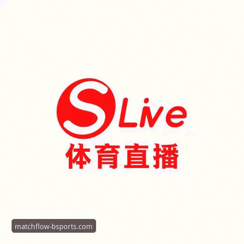 资深用户分享：B体育官网平台使用与订阅操作教程